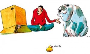 medo (1)
