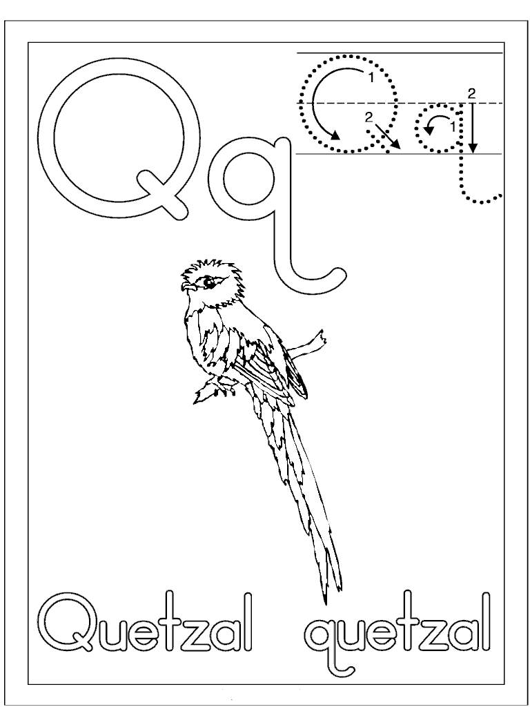 q