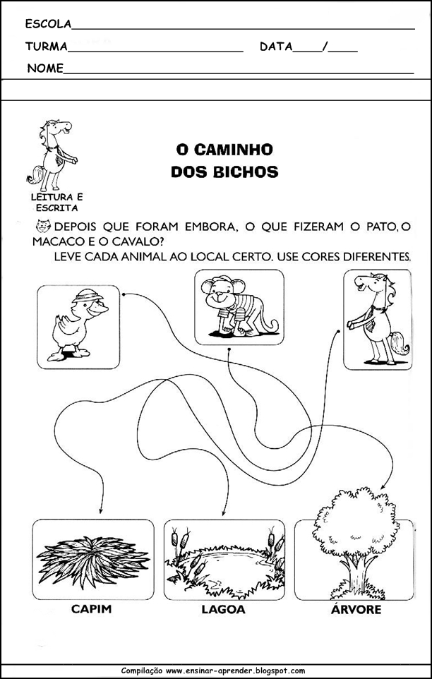 dona baratinha ensinar-aprender022