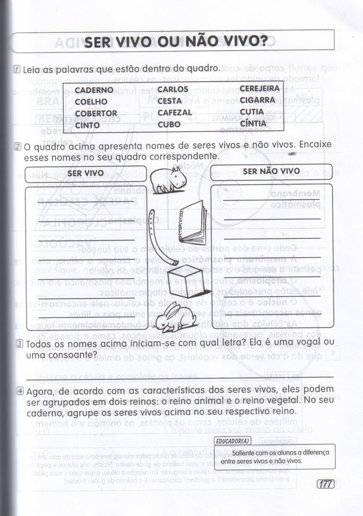 Atividades Variadas EJA (150)