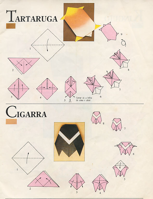 Tartaruga_cigarra