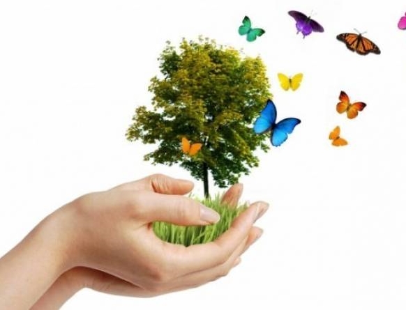 NATUREZA E SOCIEDADE