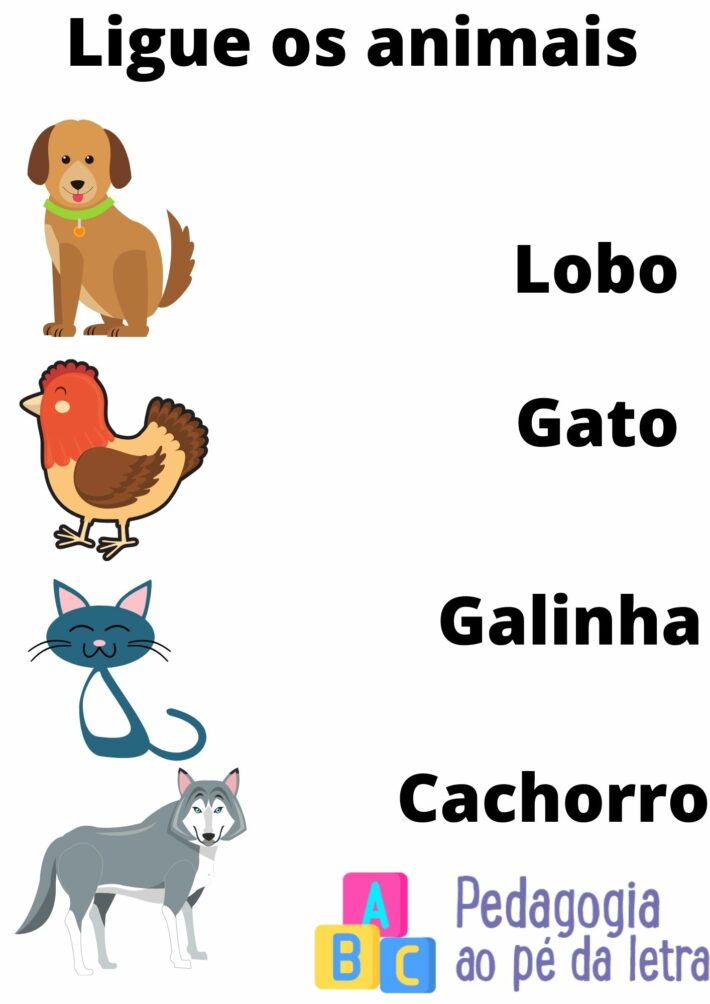 Atividade Ligue os animais aos nomes