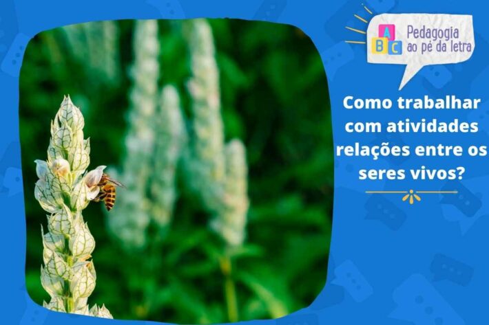 Como trabalhar com atividades relações entre os seres vivos