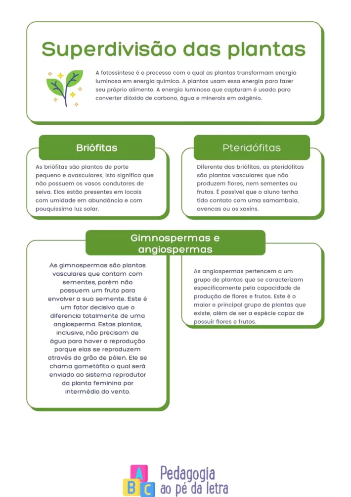 5 Tarefas de ciências para o ensino fundamental com respostas