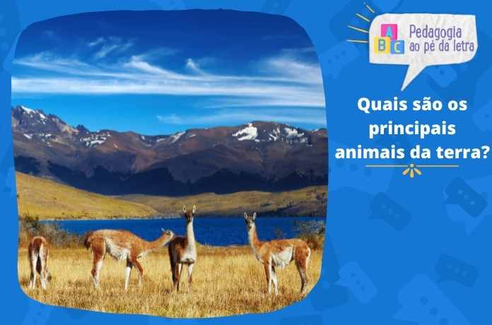 Quais são os principais animais da terra