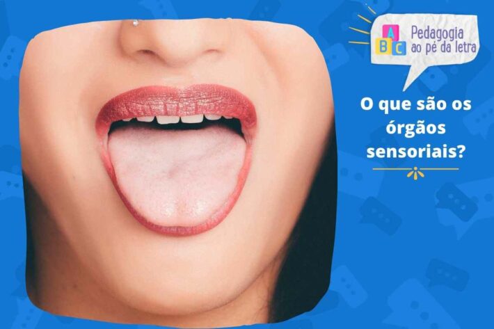 O que são os órgãos sensoriais