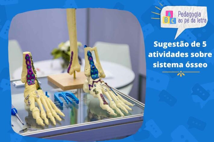 Sugestão de 5 atividades sobre sistema ósseo