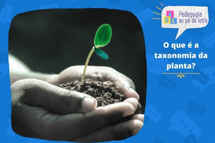 O que é a taxonomia da planta